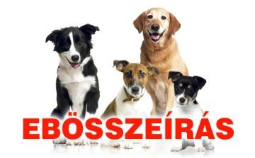 Ebösszeírás Dombóváron