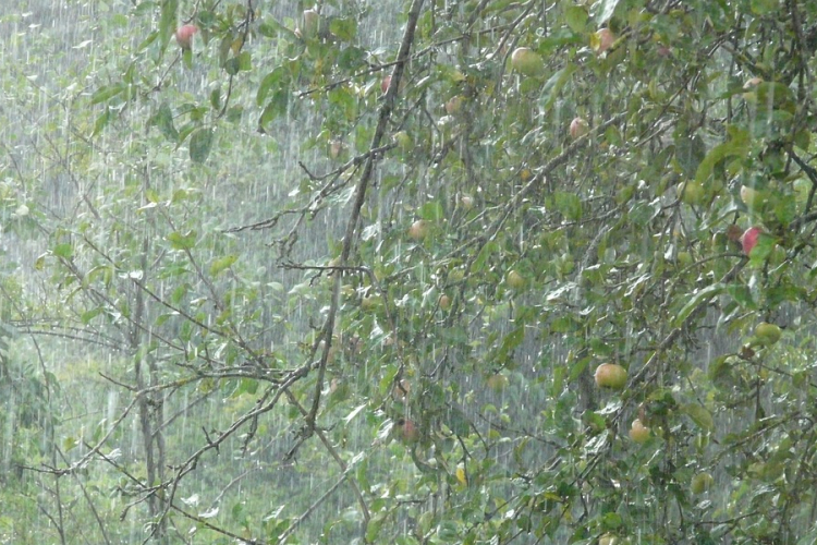 Országszerte lehetnek heves esőzések