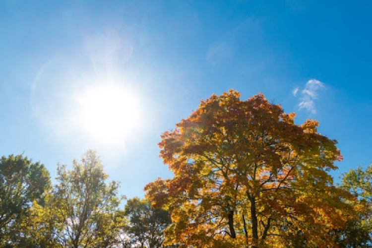 Figyelmeztetést adott ki a meteorológiai szolgálat