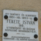 Fekete István nyomában 5.