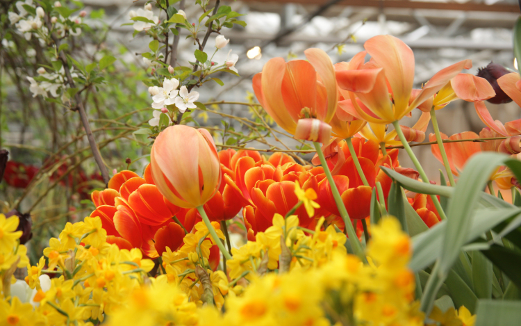 Színes tavaszi programokkal vár Dombóvár áprilisban