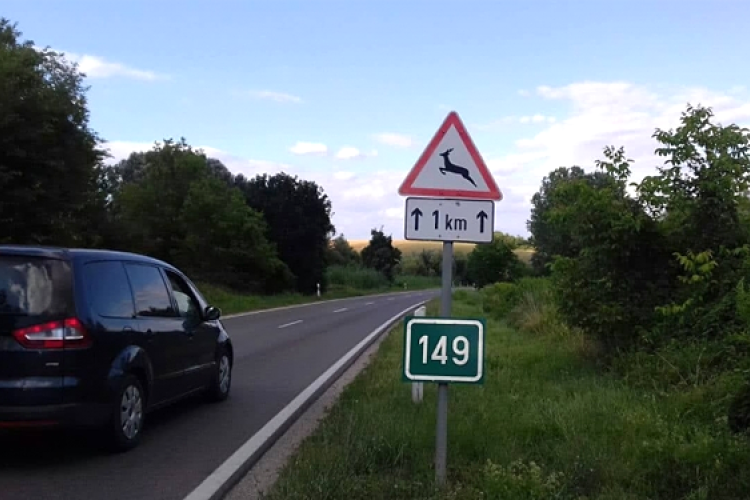 A vadelütések megelőzése érdekében