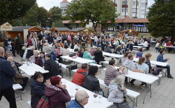 Népszerű és sikeres volt a DOM-BOR-FESZT borfesztivál