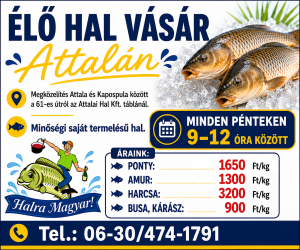 Bognár Attila havi 